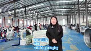 how  many rolls concertina wire coils suitable for packaging?