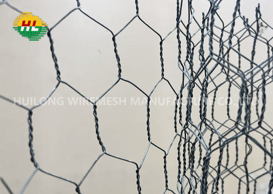 Bwg18 1/4 Inch Hexagonal Wire Netting For Fence Or Bird Cage