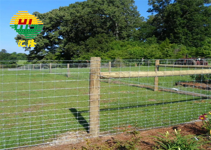 5ft Height Galvanized For Sheep Or Cattle Farm Fence Hinge Joint Wire Mesh