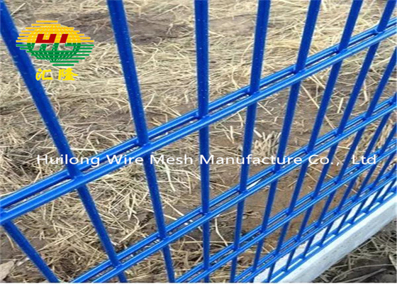868/656 PVC Coated 2D Double Wire Welded Mesh Fence 800mm Height