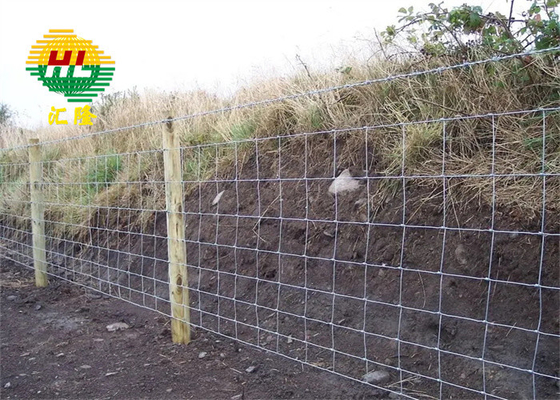 Galvanized 1.0m Height Hinge Joint Wire Mesh For Agriculture Use