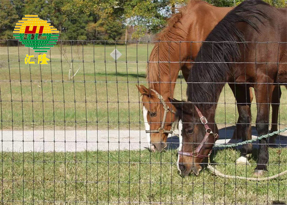 Animal Rural Farm Hinge Joint Steel Wire Mesh Fence Hot Dipped Galvanized