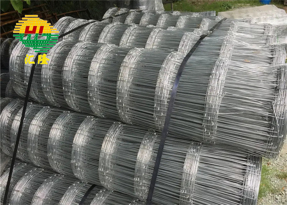 Polished Hinge Joint Wire Mesh Corrosion Resistant For Agriculture Use