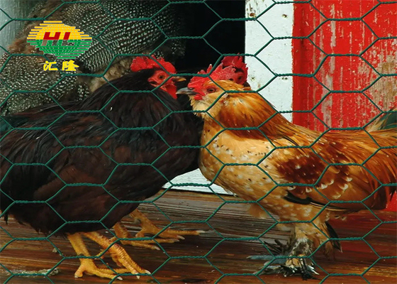 High Strength Pvc Coated Hexagonal Wire Netting Poultry 1 2 Inch