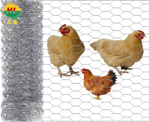 Chicken Coop Galvanized Hexagonal Wire Mesh 3/4 Inch*1.2m*30m