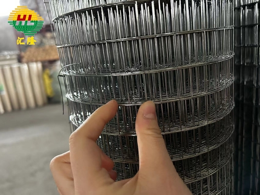 25.4*25.4mm Galvanised Wire Mesh Roll Bright Silver