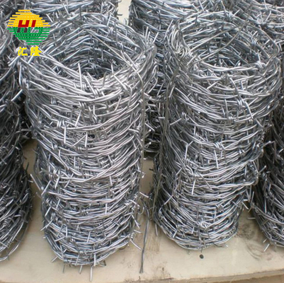 Non Alloy Galvanized Barbed Wire Hot Dipped Single Strand Barb Type Steel