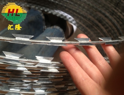 Best Price 900mm Galvanized Security Razor Barbed Wire BTO-22