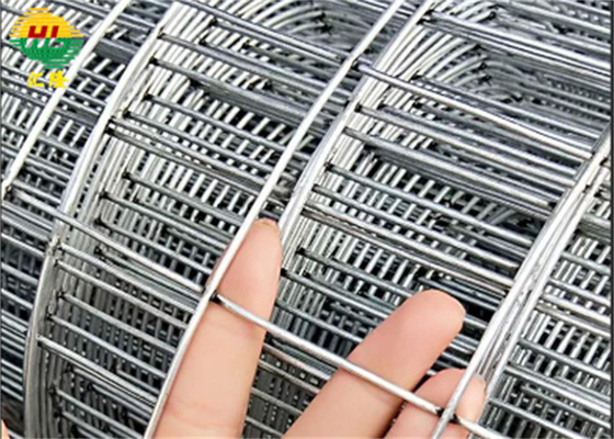 High quality Galvanized Welded Wire Mesh Roll For consutruction and infrastructure