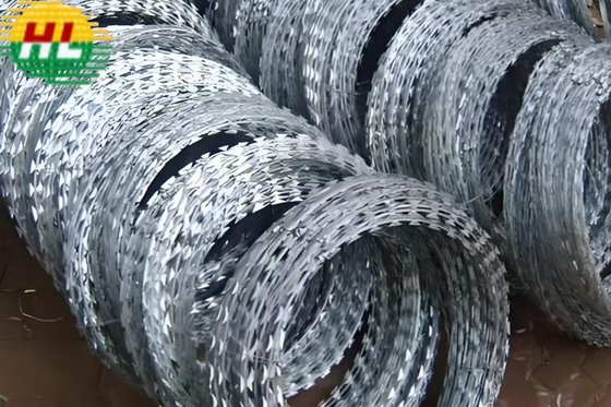600mm Hot Dip Galvanized Razor Barbed Wire Protective Netting