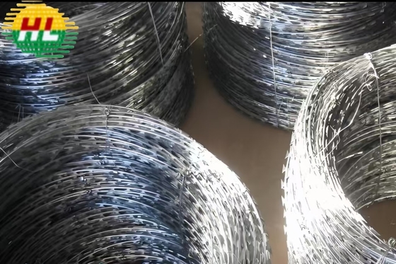 600mm Hot Dip Galvanized Razor Barbed Wire Protective Netting