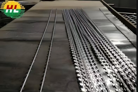 600mm Hot Dip Galvanized Razor Barbed Wire Protective Netting