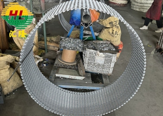 2.5mm Hot Dipped Galvanized Concertina Barbed Wire For Ukraine
