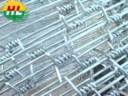 Multifunctional 12 14 16 Gauge Galvanized Barbed Wire