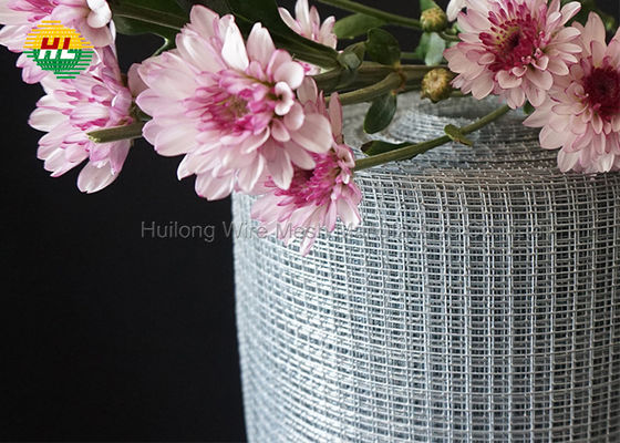 0.6mm Welded Wire Mesh Rolls , 1mx15m Hardware Cloth Garden Fence