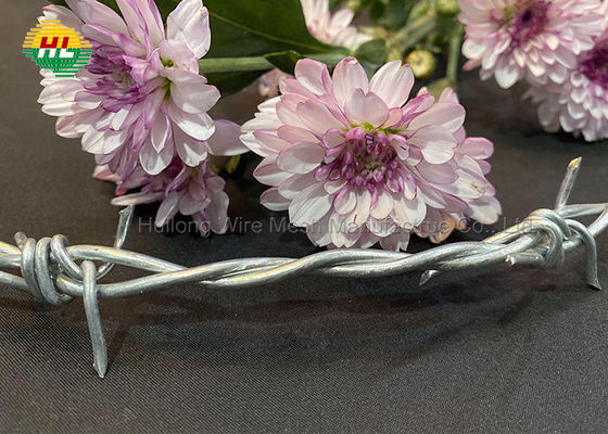 High Tensile Strength Galvanized Barbed Wire Hot Dipped For Airport Prison Security Fence