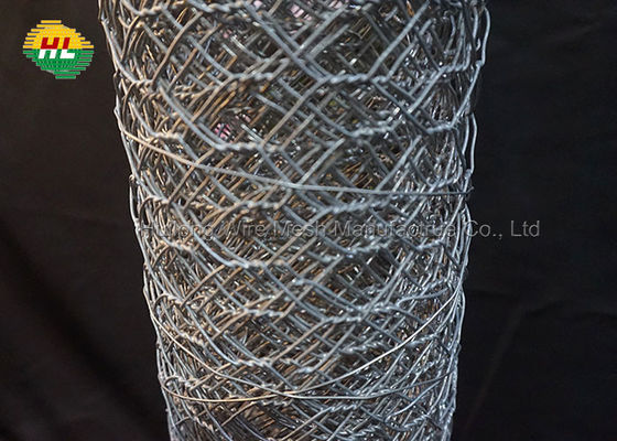 Lightweight Hexagonal Wire Netting Galvanized For Craft Projects