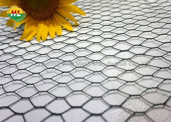 Lightweight Hexagonal Wire Netting Galvanized For Craft Projects