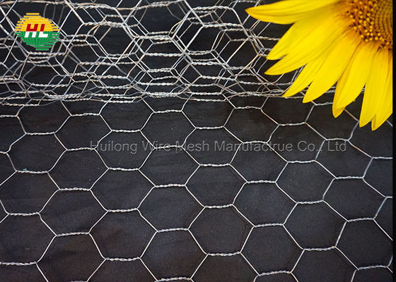 Anti Rust Hexagonal Wire Netting 25.4mm Mesh Opening for Craft Work