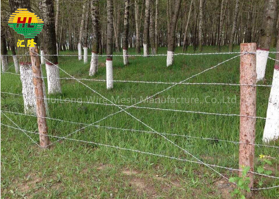 Normal Twist Galvanized Barbed Wire 1.3*1.3mm 6kg