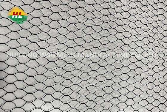 Bwg18 1/4 Inch Hexagonal Wire Netting For Fence Or Bird Cage